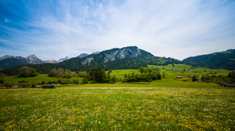 Mountains, fields and trees