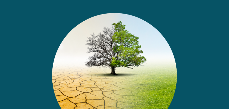 Physical Climate Risk Metrics